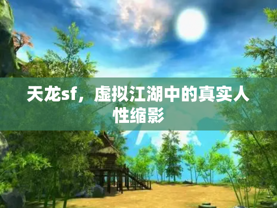 天龙sf，虚拟江湖中的真实人性缩影