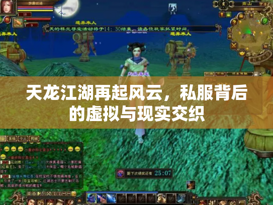 天龙江湖再起风云，私服背后的虚拟与现实交织