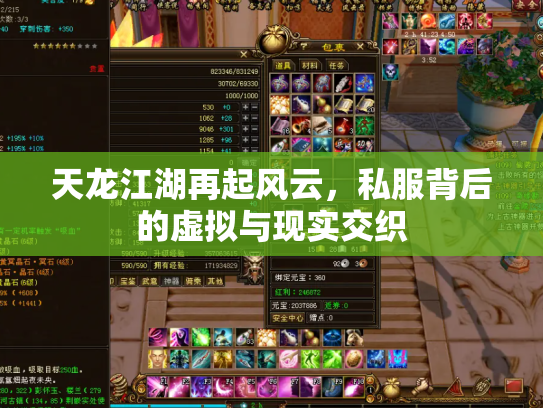 天龙江湖再起风云，私服背后的虚拟与现实交织