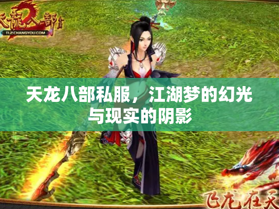 天龙八部私服，江湖梦的幻光与现实的阴影
