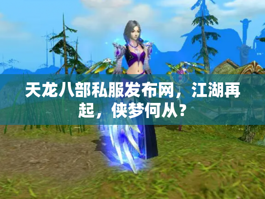 天龙八部私服发布网，江湖再起，侠梦何从？
