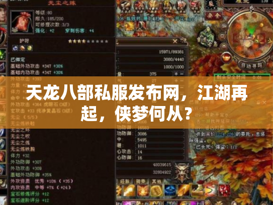 天龙八部私服发布网，江湖再起，侠梦何从？