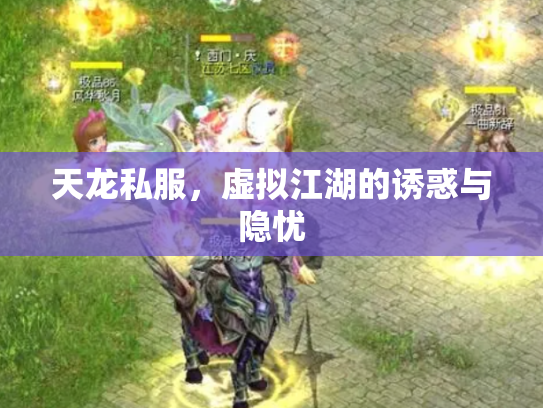 天龙私服，虚拟江湖的诱惑与隐忧