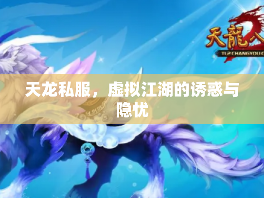 天龙私服，虚拟江湖的诱惑与隐忧