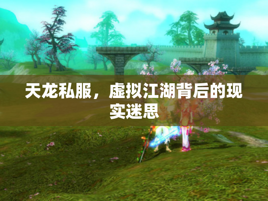 天龙私服，虚拟江湖背后的现实迷思