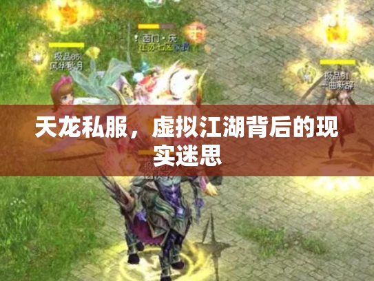天龙私服，虚拟江湖背后的现实迷思