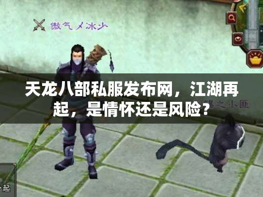 天龙八部私服发布网，江湖再起，是情怀还是风险？