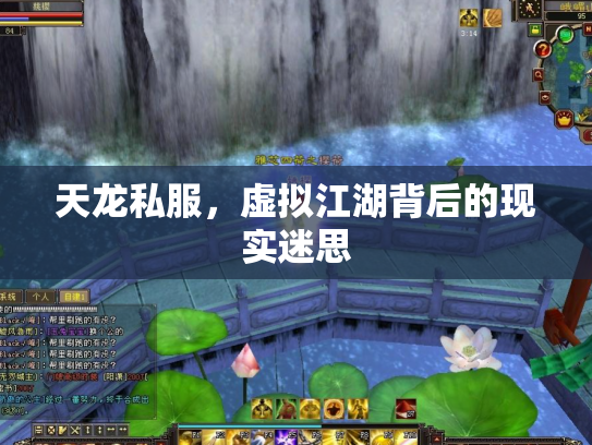 天龙私服，虚拟江湖背后的现实迷思