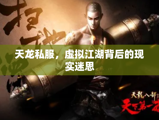 天龙私服，虚拟江湖背后的现实迷思