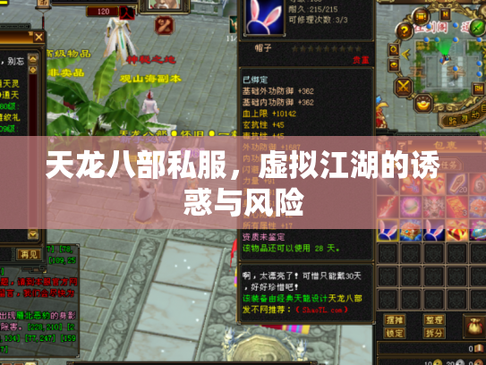 天龙八部私服，虚拟江湖的诱惑与风险