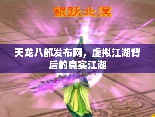 天龙八部发布网，虚拟江湖背后的真实江湖