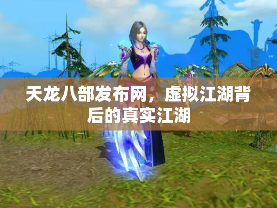 天龙八部发布网，虚拟江湖背后的真实江湖