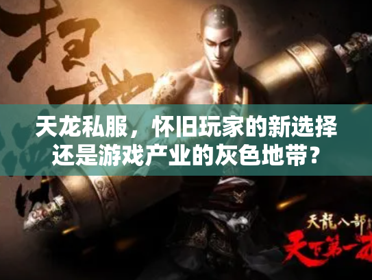 天龙私服，怀旧玩家的新选择还是游戏产业的灰色地带？