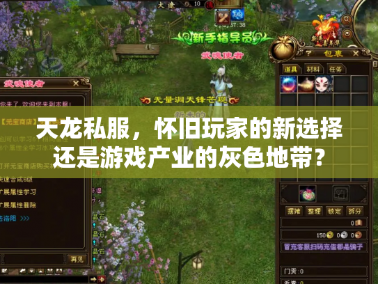 天龙私服，怀旧玩家的新选择还是游戏产业的灰色地带？
