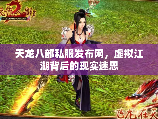 天龙八部私服发布网，虚拟江湖背后的现实迷思