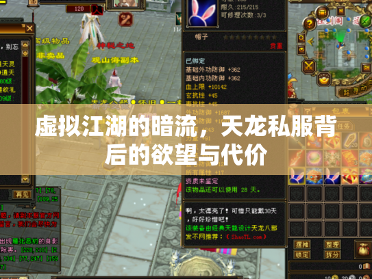 虚拟江湖的暗流，天龙私服背后的欲望与代价