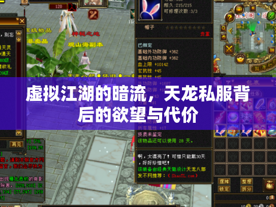 虚拟江湖的暗流，天龙私服背后的欲望与代价