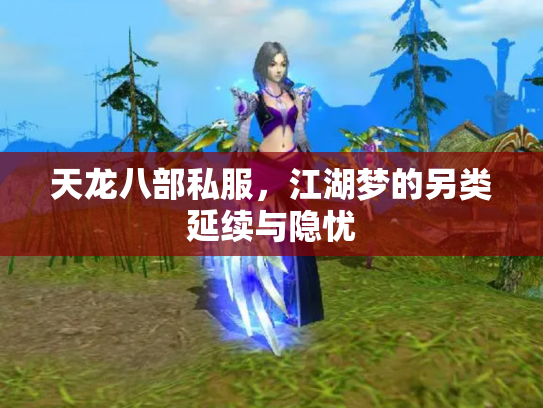 天龙八部私服，江湖梦的另类延续与隐忧