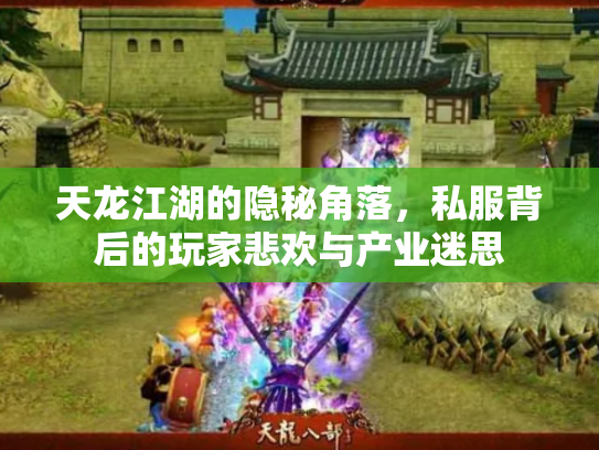 天龙江湖的隐秘角落，私服背后的玩家悲欢与产业迷思