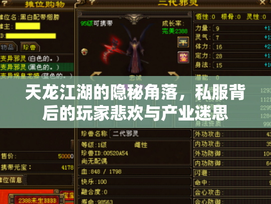 天龙江湖的隐秘角落，私服背后的玩家悲欢与产业迷思