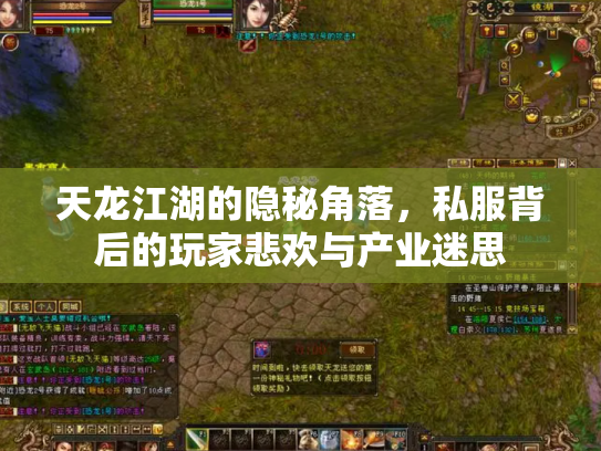 天龙江湖的隐秘角落，私服背后的玩家悲欢与产业迷思