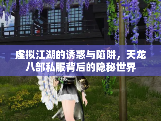 虚拟江湖的诱惑与陷阱，天龙八部私服背后的隐秘世界