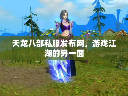 天龙八部私服发布网，游戏江湖的另一面