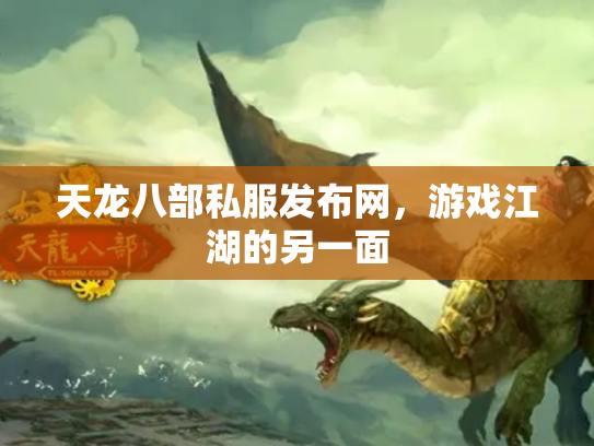 天龙八部私服发布网，游戏江湖的另一面
