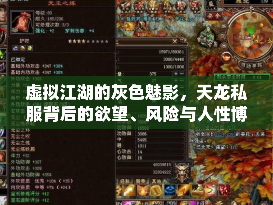 虚拟江湖的灰色魅影，天龙私服背后的欲望、风险与人性博弈