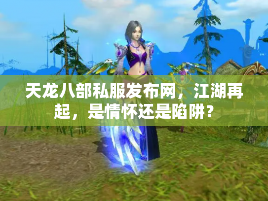天龙八部私服发布网，江湖再起，是情怀还是陷阱？