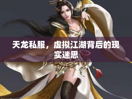 天龙私服，虚拟江湖背后的现实迷思