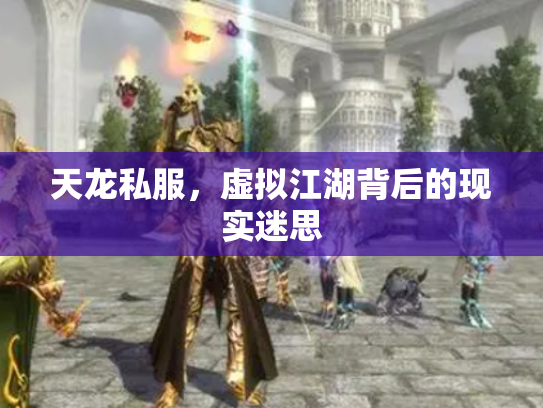 天龙私服，虚拟江湖背后的现实迷思