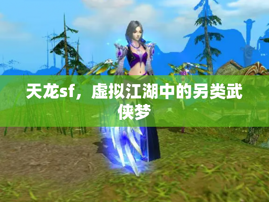 天龙sf，虚拟江湖中的另类武侠梦