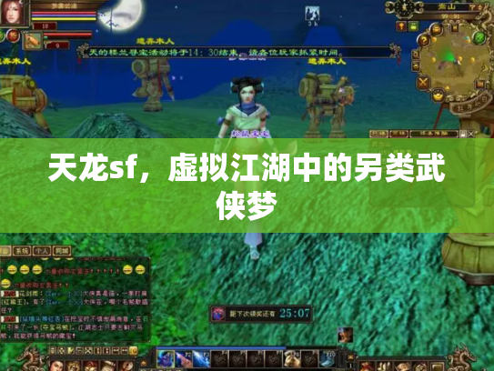 天龙sf，虚拟江湖中的另类武侠梦
