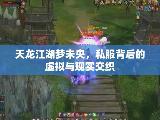 天龙江湖梦未央，私服背后的虚拟与现实交织