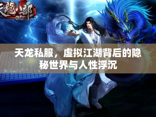 天龙私服，虚拟江湖背后的隐秘世界与人性浮沉