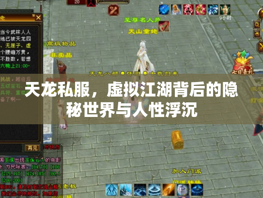天龙私服，虚拟江湖背后的隐秘世界与人性浮沉