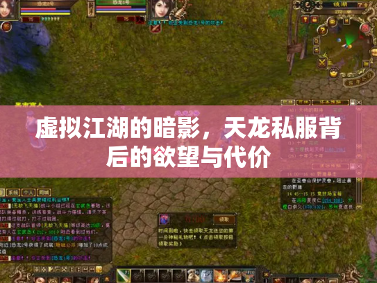 虚拟江湖的暗影，天龙私服背后的欲望与代价
