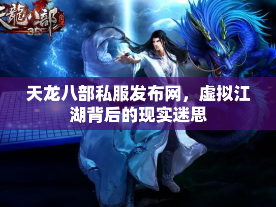 天龙八部私服发布网，虚拟江湖背后的现实迷思