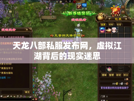 天龙八部私服发布网，虚拟江湖背后的现实迷思