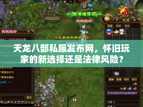 天龙八部私服发布网，怀旧玩家的新选择还是法律风险？
