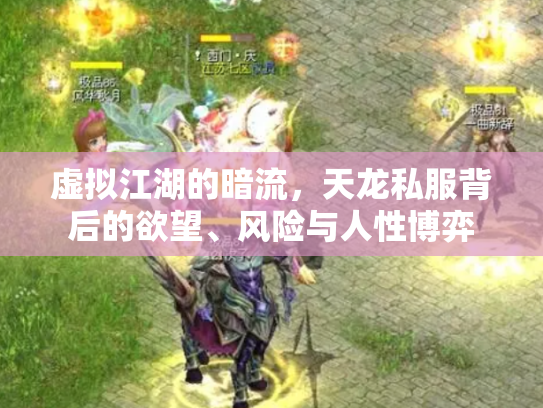 虚拟江湖的暗流，天龙私服背后的欲望、风险与人性博弈