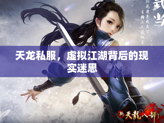 天龙私服，虚拟江湖背后的现实迷思
