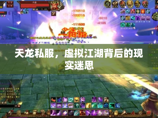 天龙私服，虚拟江湖背后的现实迷思