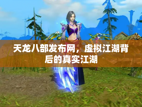 天龙八部发布网，虚拟江湖背后的真实江湖