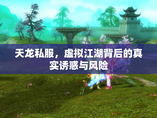 天龙私服，虚拟江湖背后的真实诱惑与风险