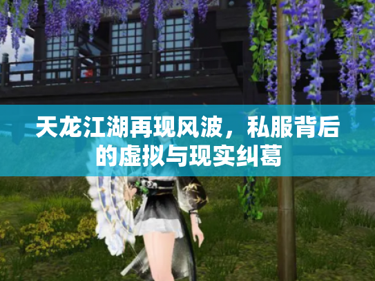 天龙江湖再现风波，私服背后的虚拟与现实纠葛