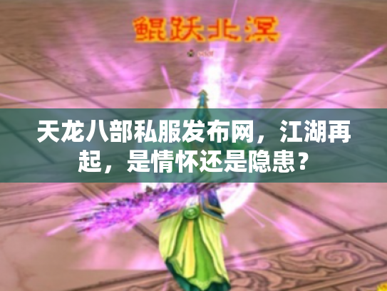 天龙八部私服发布网，江湖再起，是情怀还是隐患？
