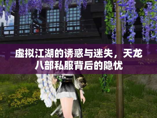 虚拟江湖的诱惑与迷失，天龙八部私服背后的隐忧