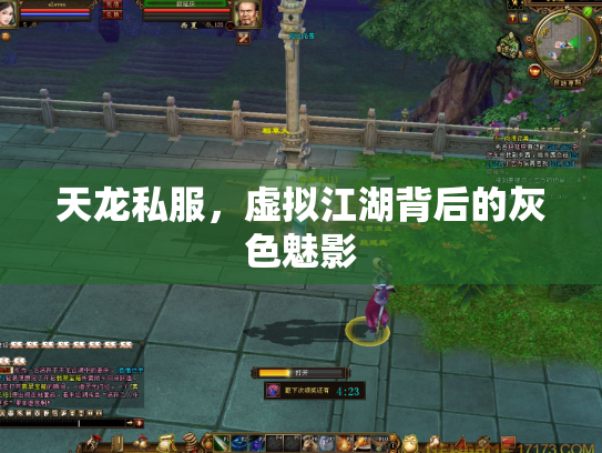 天龙私服，虚拟江湖背后的灰色魅影